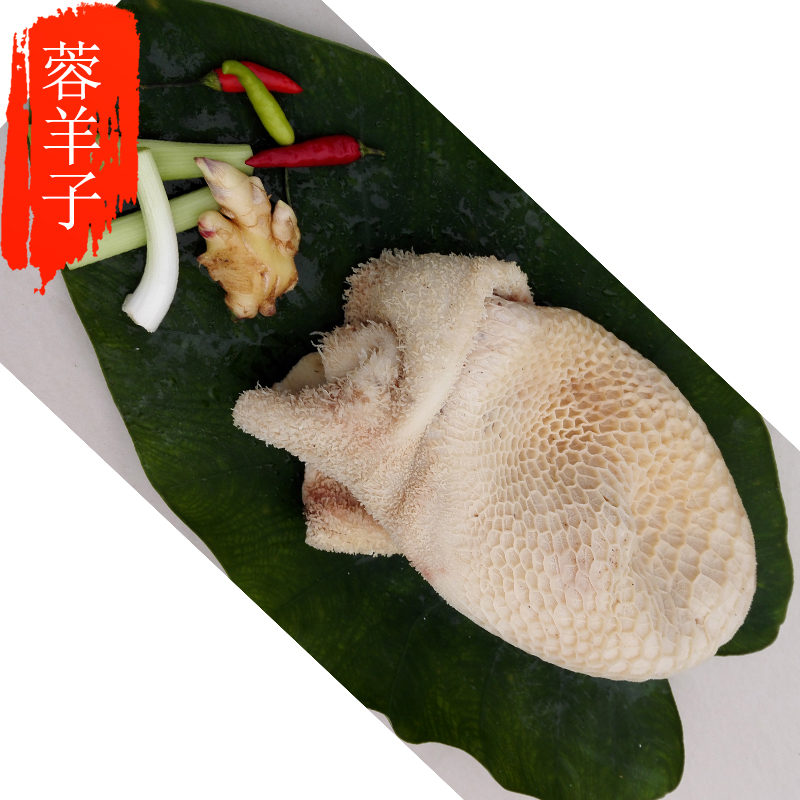 蓉羊子生鲜农家新品生态高原放养新鲜现宰阿坝牦牛肉蜂窝肚牦牦