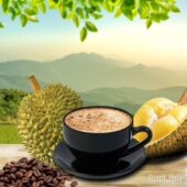 越南进口越贡RockCafe榴莲白咖啡600g袋装 三合一速溶咖啡粉30条