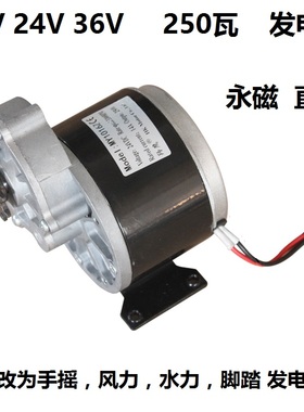 大功率低速永磁直流发电机12V24V36V250瓦风力手摇水力脚踏蓄电池