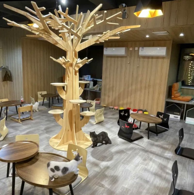 个性猫爬架简约猫跳台实木树形装饰展示架宠物店落地创意摆件包邮