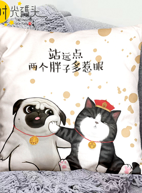 卡通猫咪治愈系十字绣抱枕2024新款线绣客厅卧室沙发靠枕手工刺绣