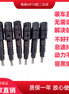 612630090022潍柴WP10 WP12大泵机船用柴油发动机欧二喷油嘴总成