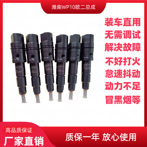 612630090022潍柴WP10 WP12大泵机船用柴油发动机欧二喷油嘴总成