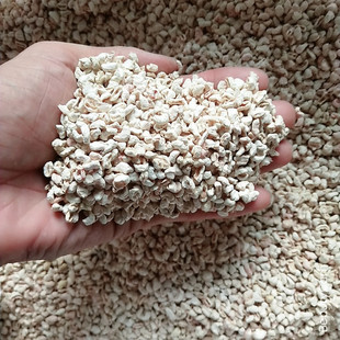 仓鼠金丝熊用品龙猫兔子荷兰猪爬虫除臭清洁垫料玉米芯2500克 包邮