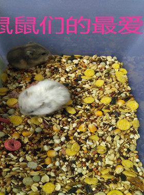 包邮仓鼠粮食物饲料主粮自配五谷仓鼠粮食金丝熊400g（买3送1）