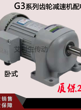 G3齿轮减速机G3LM-18/22/28/32/40立卧式带底脚带电机3HP刹车马达
