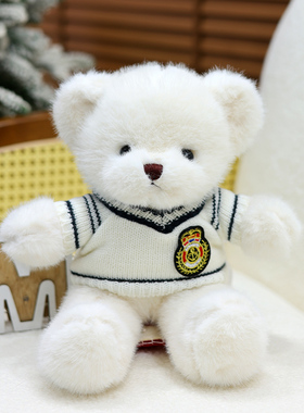 可爱小熊玩偶泰迪小熊公仔毛绒玩具陪睡娃娃儿童生日礼物定制LOGO