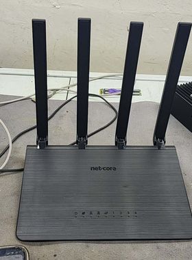 netcore磊科全千兆智能路由 型号:POWER 8L 成