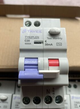 上海天逸TAYEE漏电保护器 TYB2PLEN C20规格