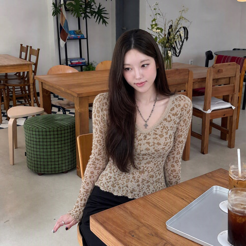 低饱和豹纹V领上衣软糯针织打底