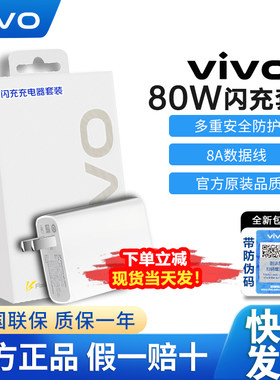 vivo原装80W闪充手机充电器