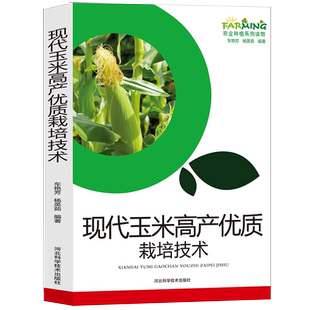 现代玉米高产优质栽培技术水稻小麦农业种植玉米选择品种介绍专用型玉米栽种利用优质高产栽培技术科学施肥管理玉米病虫草防治书籍