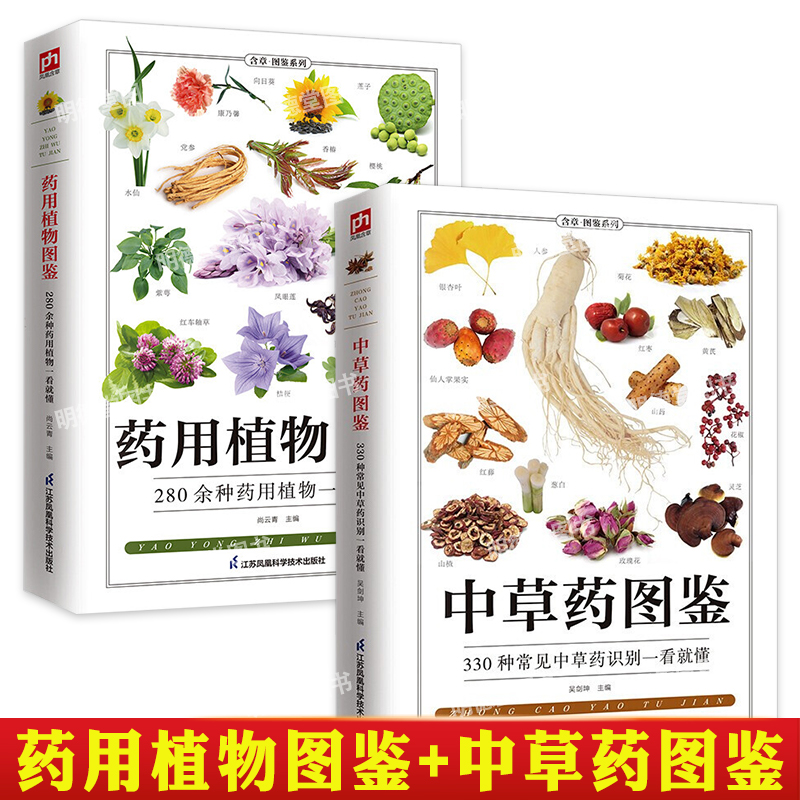 中药知识入门书籍全2册 药用植物图鉴+中草药图鉴 中药材图鉴大全百科书 常见中药材功效解读中医养生书 中草药养生药膳书