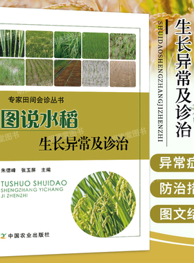 图说水稻生长异常及诊治 水稻高产种植书籍水稻栽培种植技术 大米高效栽培种植科学种植农作物水稻生产技术 杂交水稻制种技术书籍