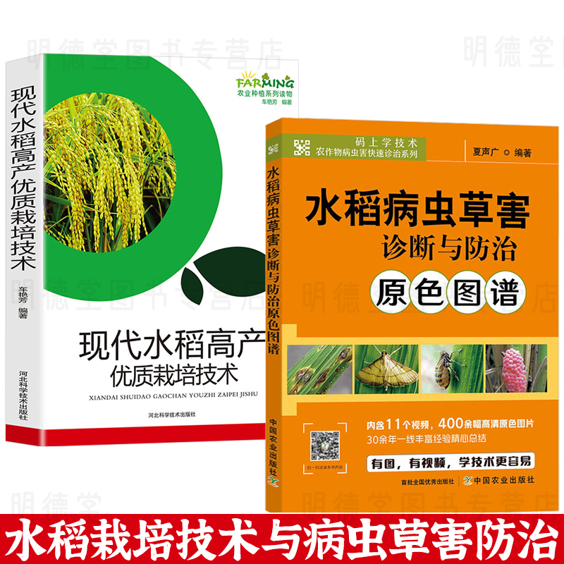 2册水稻病虫草害诊断与防治原色图谱+现代水稻高产优质栽培种植技术书籍 水稻病虫害防控稻麦病虫害防控技术稻田农作物病虫害诊治