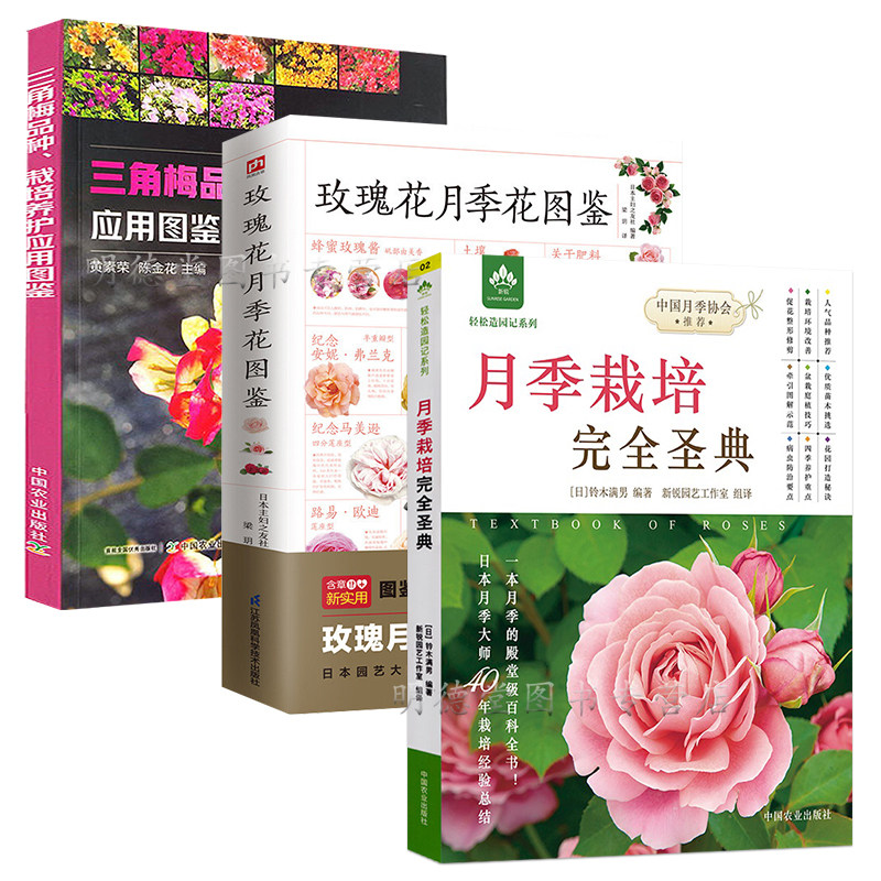 月季栽培完全圣典+玫瑰花月季花图鉴+三角梅品种栽培养护应用图鉴 养花养植物养护指南玫瑰月季基础知识养花栽培养护书籍
