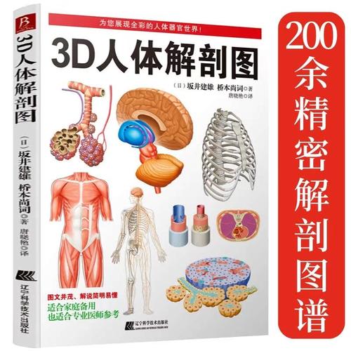 3D人体解剖图人体解剖彩色学图谱