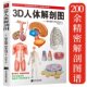 3D人体解剖图200个精密3D图例人体肌肉解剖运动解剖学断层局部解剖学图谱教材卫生解剖生理学专业基础医学图谱人体解剖学书籍