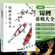 锦鲤养殖大全 养殖与鉴赏书籍 锦鲤养殖技术大全书籍鲤鱼喂养技巧教程饲养殖方法技巧观赏鱼常见疾病防治池塘养鱼观赏鱼锦鲤