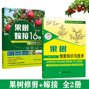 果树种植技术 果树嫁接16法第三版 果树修剪知识与技术全2册 果树整形修剪与栽培管理大全 果树嫁接技术果树嫁接一本通书籍