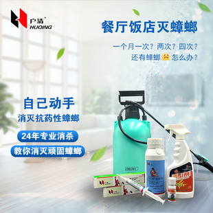 户清餐厅灭蟑螂旅馆奶茶饭店灶间喷剂胶饵灭杀小强反复抗药性蟑螂