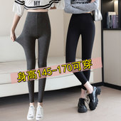 保暖小个子八分九分裤 春秋打底裤 大码 秋裤 女士外穿莫代尔内搭薄款