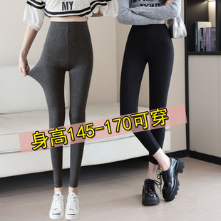 保暖小个子八分九分裤 春秋打底裤 大码 秋裤 女士外穿莫代尔内搭薄款