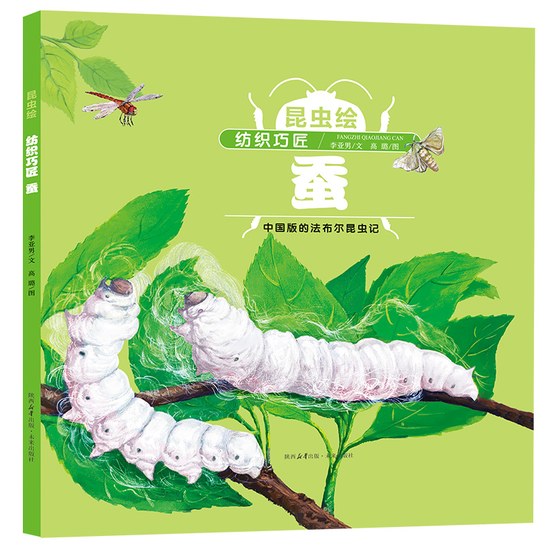 昆虫绘：纺织巧匠-蚕 中国版的法布尔昆虫记改编精细手绘本 3-6岁