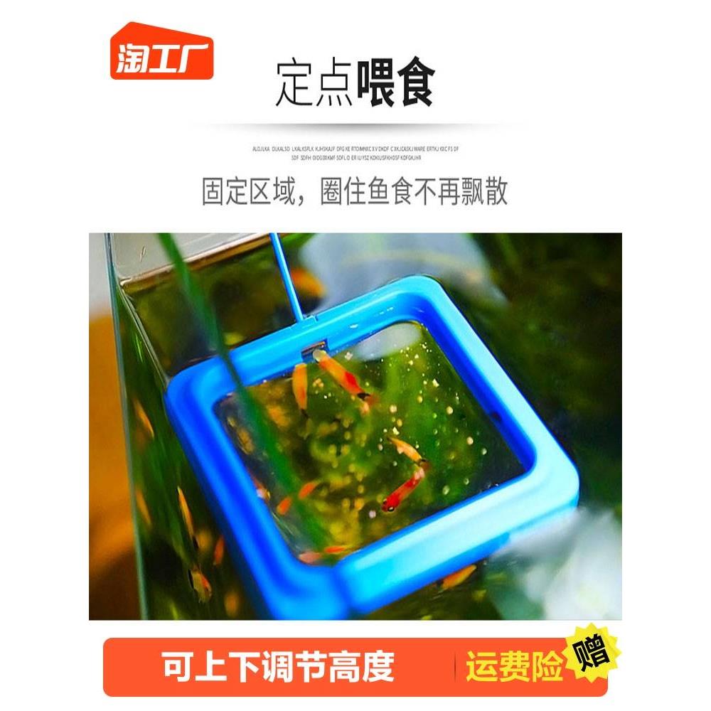 鱼缸喂食器喂鱼神器孔雀鱼漂浮喂食圈丰年虾投食器鱼食投喂器