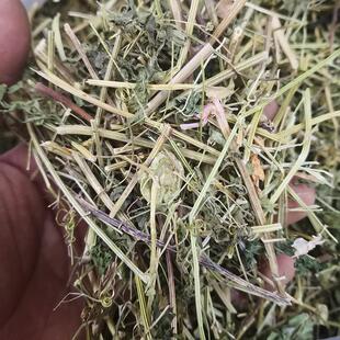 倒地铃纯晒干货潮汕带藤苦楝无硫中草药材三角藤假苦瓜500g心豆藤