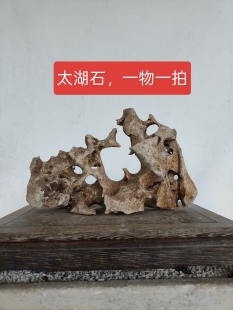 天然原石盆景石精品造型石鱼缸造景石精品假山石A10