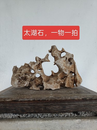 天然原石盆景石精品造型石鱼缸造景石精品假山石A10