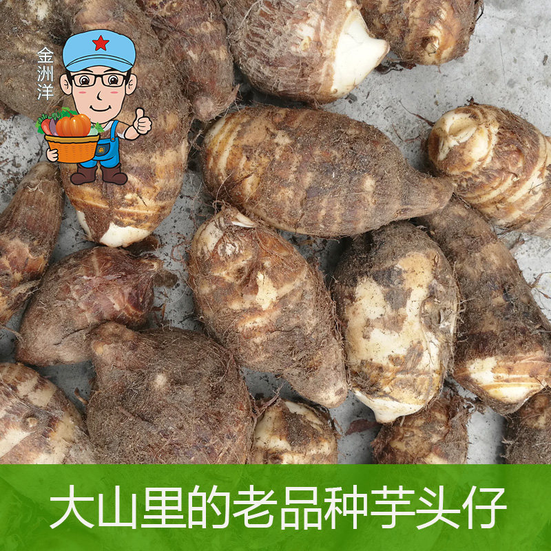 江西保护区深山农家种植芋头老品种自留种现挖新鲜蔬菜500g