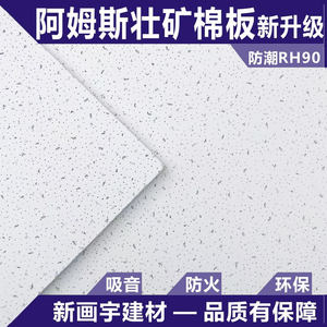 矿棉板600*600吊顶阿姆斯壮吸音矿棉板 可耐福雅丽毛毛虫装饰天花