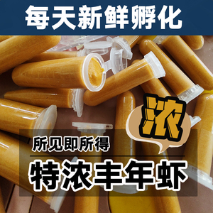 冰冻饲料观赏鱼苗开口精品丰年虾