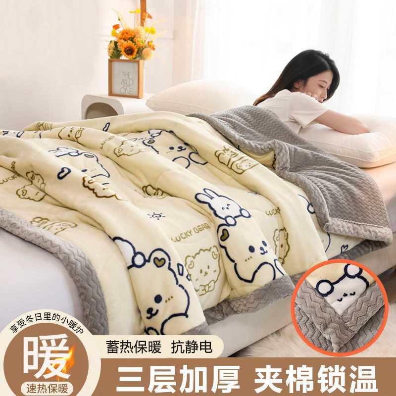 新款牛奶绒印花毛毯三层夹棉