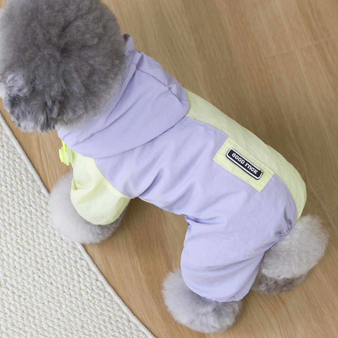 宠物泰迪比熊小型犬狗狗衣服
