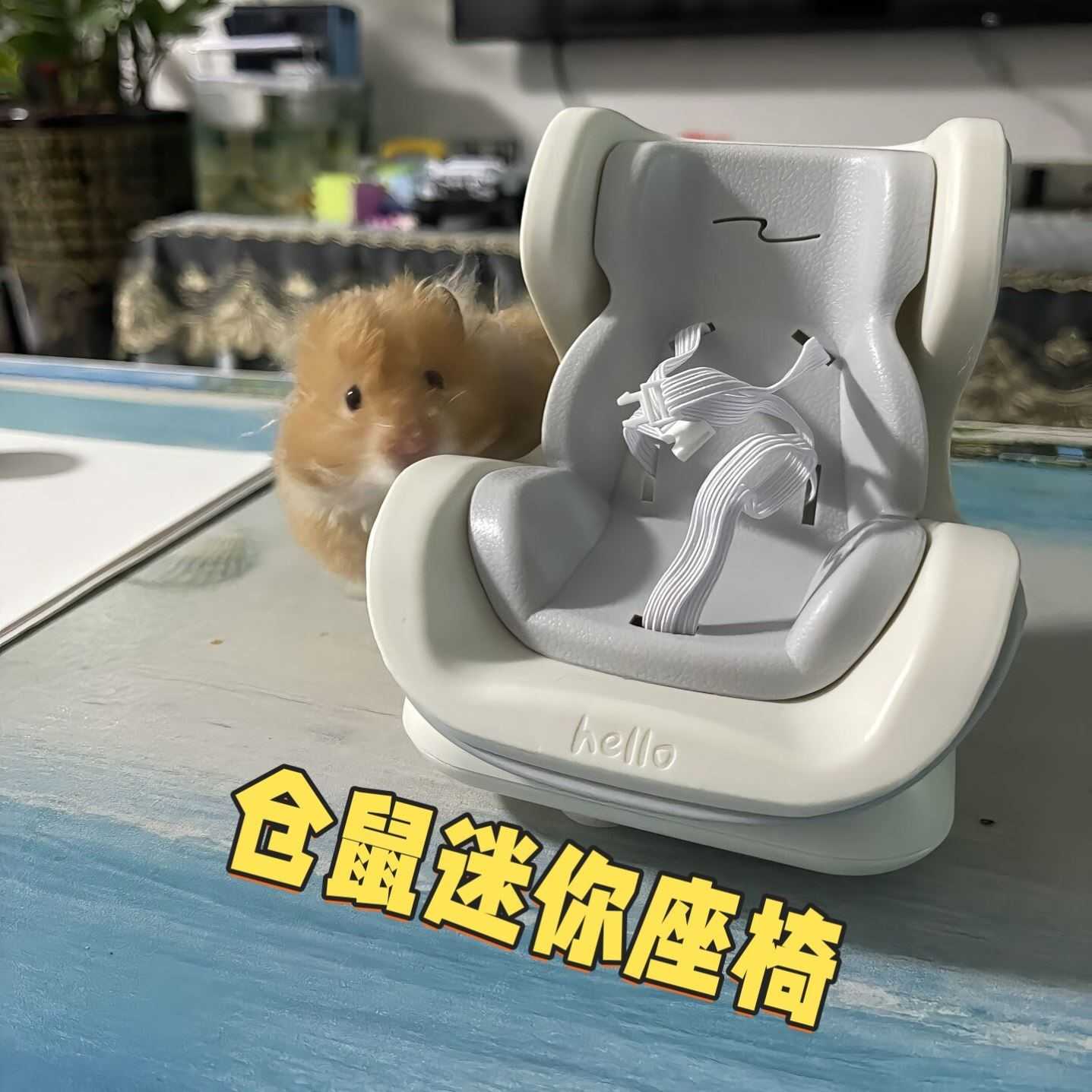 仓鼠吃饭椅子金丝熊车载安全座椅