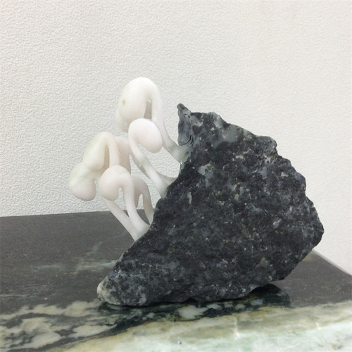 南阳独山玉黑白料豆芽茶宠摆件