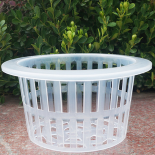 水培植物定植篮花卉绿植专用塑料杯无土栽培加深水养绿萝种植玻璃