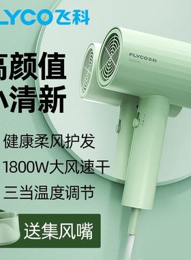 飞科电吹风机家用大风发廊专用