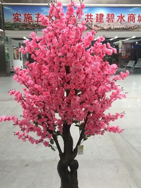 Товары от smiling李丹