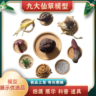 仿真人参虫草石斛雪莲茯苓何首乌珍珠肉苁蓉九大仙草模型橱窗摆件