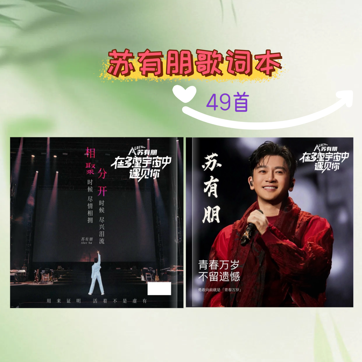 苏有朋2026台历明星巡演演唱会歌词版纪念册收藏