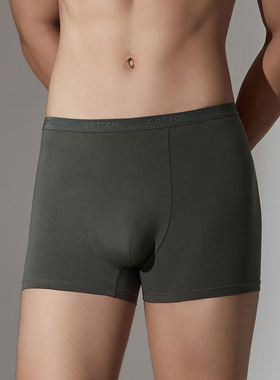 梧桐本色男士内裤平角裤60支棉柔软亲肤蚕丝底档透气不闷WR84203