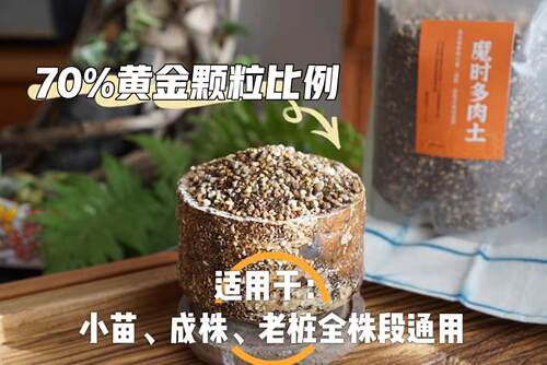 队长家日本进口控型种植多肉土