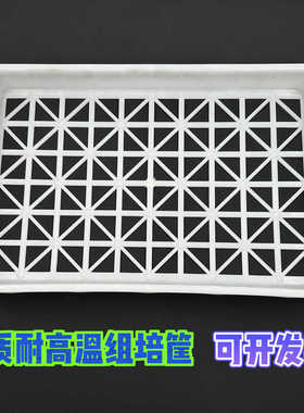 供应育苗筐特大组培盘塑料组培筐白色耐高温组培室专用筐土豆框