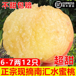 正宗超甜南汇水蜜桃新鲜大团蜜露应当季桃子现摘水果整箱顺丰包邮