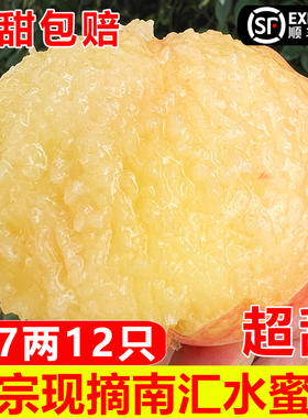 正宗超甜南汇水蜜桃新鲜大团蜜露应当季桃子现摘水果整箱顺丰包邮