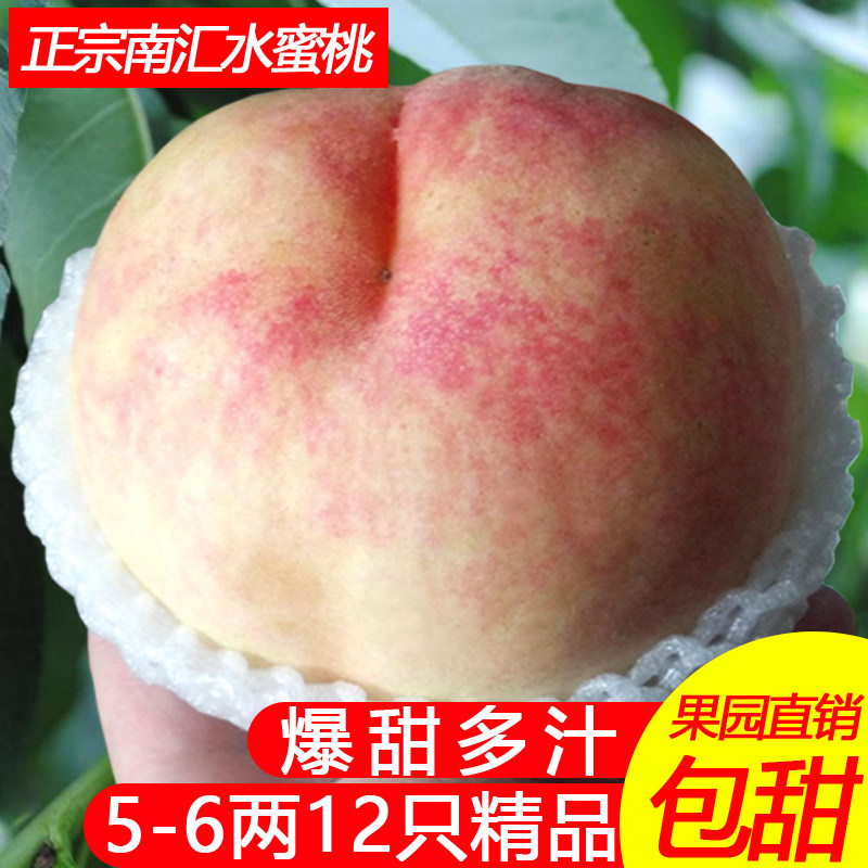 正宗上海南汇水蜜桃大团特产新鲜桃子孕妇水果 5两12只优阳山包邮|ruв категории водной мясо/свежие фрукты и овощи/еда, свежие фрукты, персик - от Buy2taobao.com для оказания профессиональной услуги покупки агента Taobao